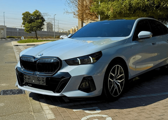 Untitled design (16)