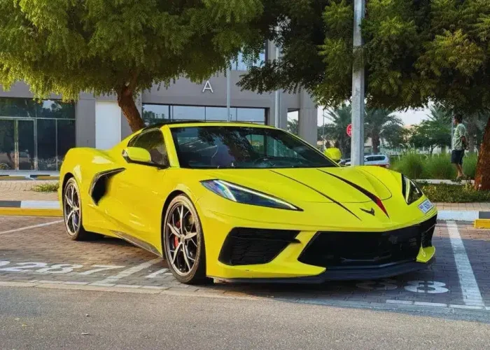 WhatsApp Image 2026-03-25 at 1.1 (1)