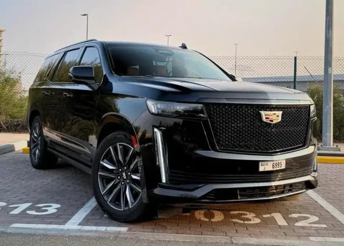 WhatsApp Image 2026-03-25 at 1.1